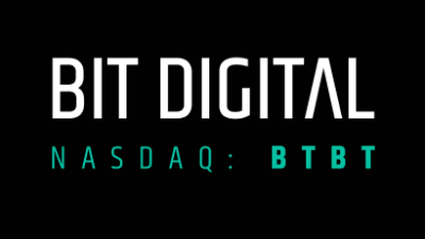 كيف خدعت شركة بيت ديجيتال Bit Digital المستثمرين: شهادات موثقة