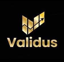 فضح ألاعيب شركة فاليداسValidus: التحذير من عمليات الاحتيال والتوجيه نحو الحماية القانونية